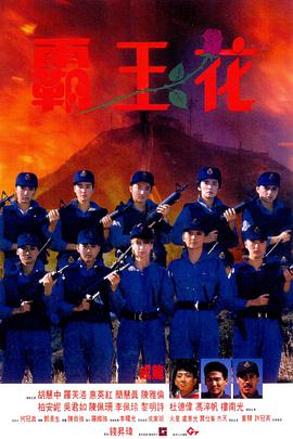 《如意芳菲》主视觉